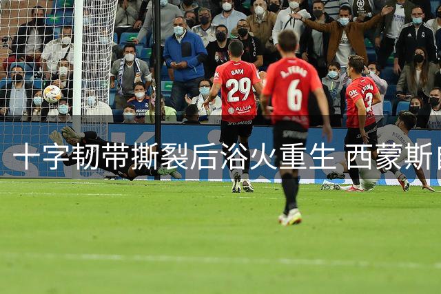 十字韧带撕裂后浴火重生 西蒙斯自述涅槃历程