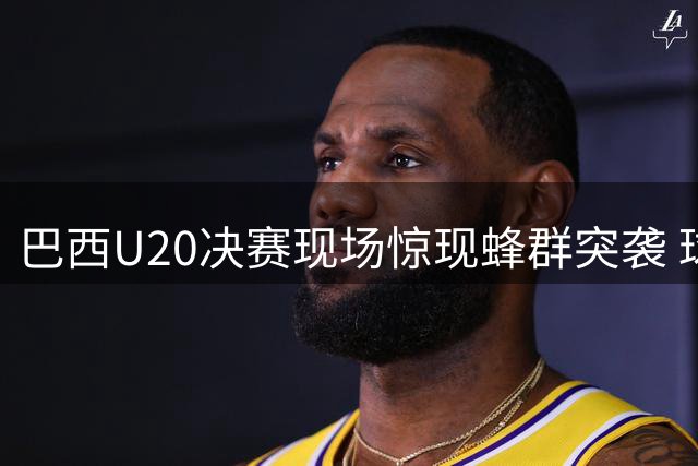 巴西U20决赛现场惊现蜂群突袭 球员裁判集体卧倒成奇观
