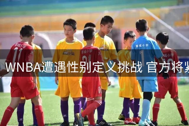 WNBA遭遇性别定义挑战 官方将紧急召开闭门会议商讨参赛资格